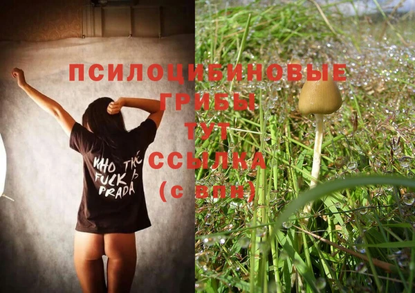 ECSTASY Карпинск