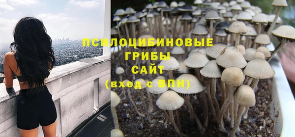 a pvp Касимов